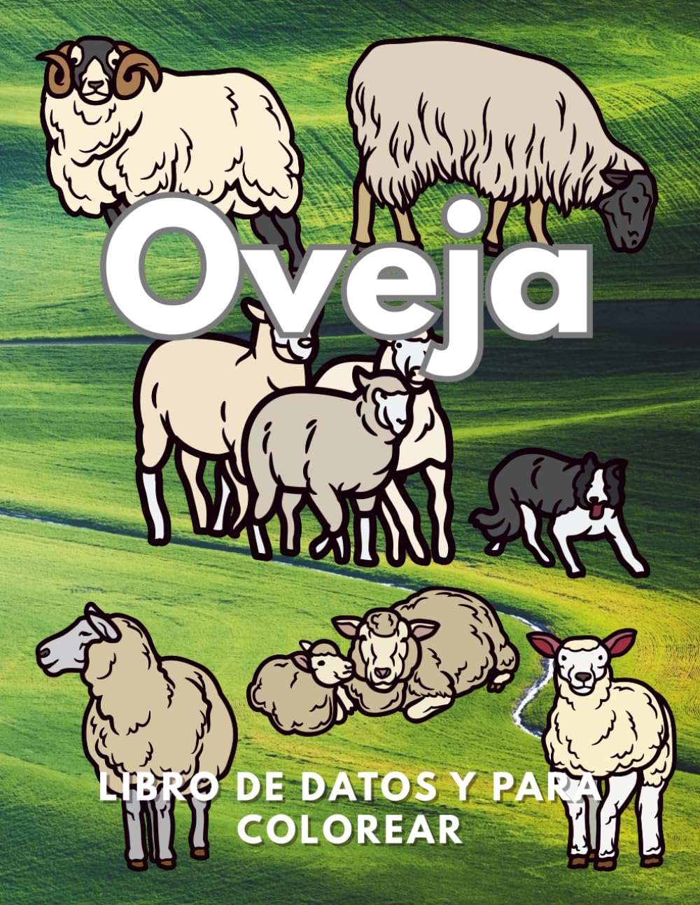 Ovejas: Datos y libro para colorear: Libro de actividades para niños de 2 a 12 años
