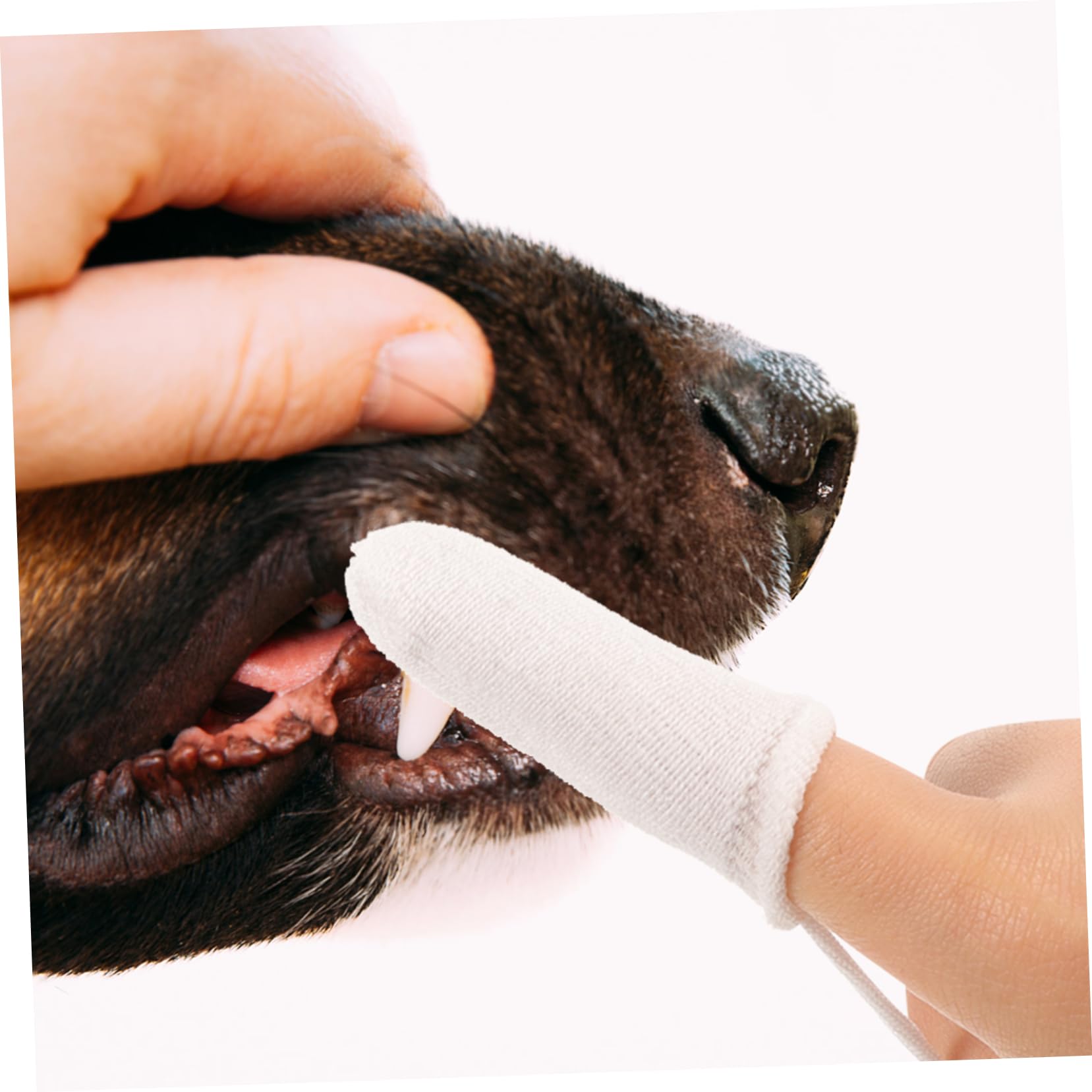 FONDOTIN Pet Care Kit: 10pcs Small Dog Finger Toothbrush Dog Toothbrush Finger for Cats Dogs