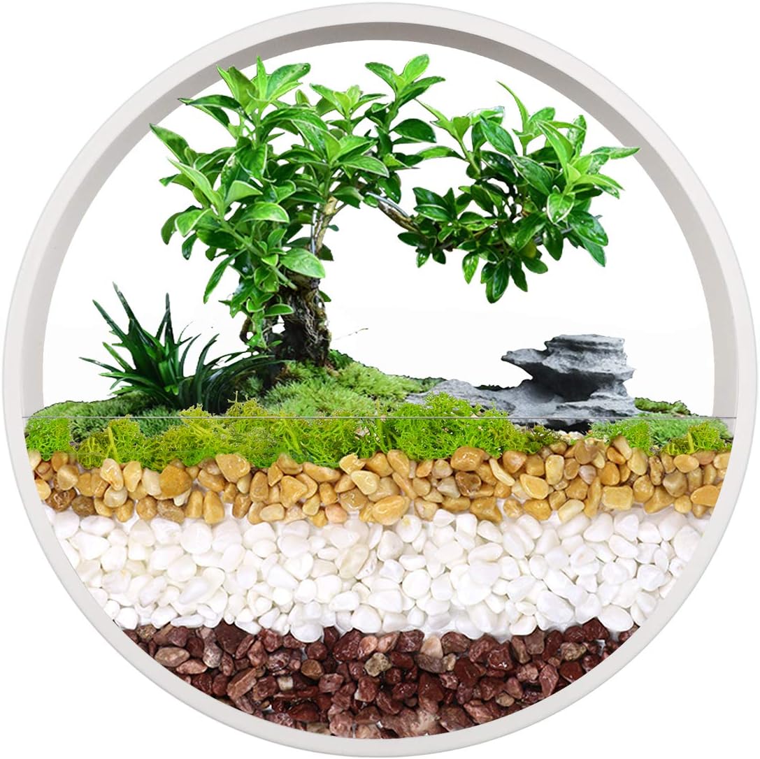 Hanging Wall Planter Hanging Basket Wall Mounted Vase Round Wall Planter Circle Metal Air Plant Succulent Cactus Holder Geometric Wall Planter Vertical Plant Container (White, 12'')