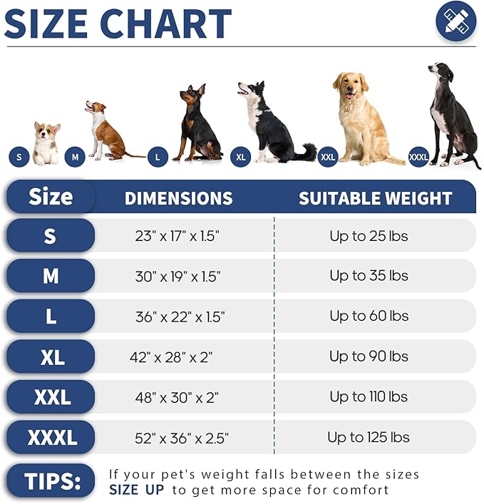 Colchoneta para Perro Pequeño Resistente al Agua y Lavable miniatura 6