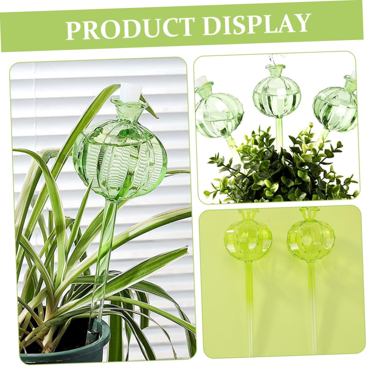 Globe D'arrosage Automatique Cactus Vert 4 Pièces en Verre Borosilicate