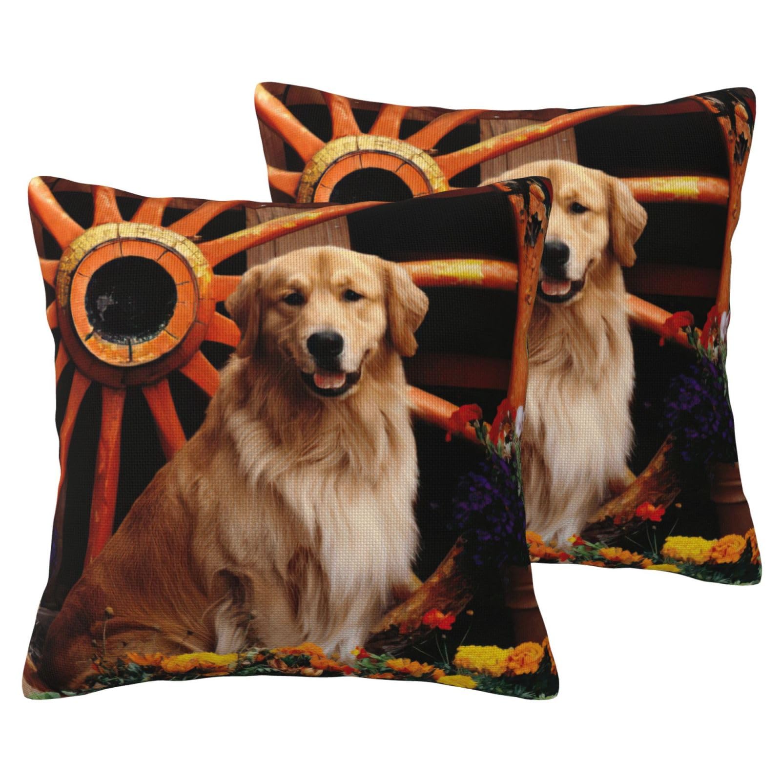Housse de coussin lin Golden Retriever : lot de 2 taies anti-plis pour protéger vos oreillers