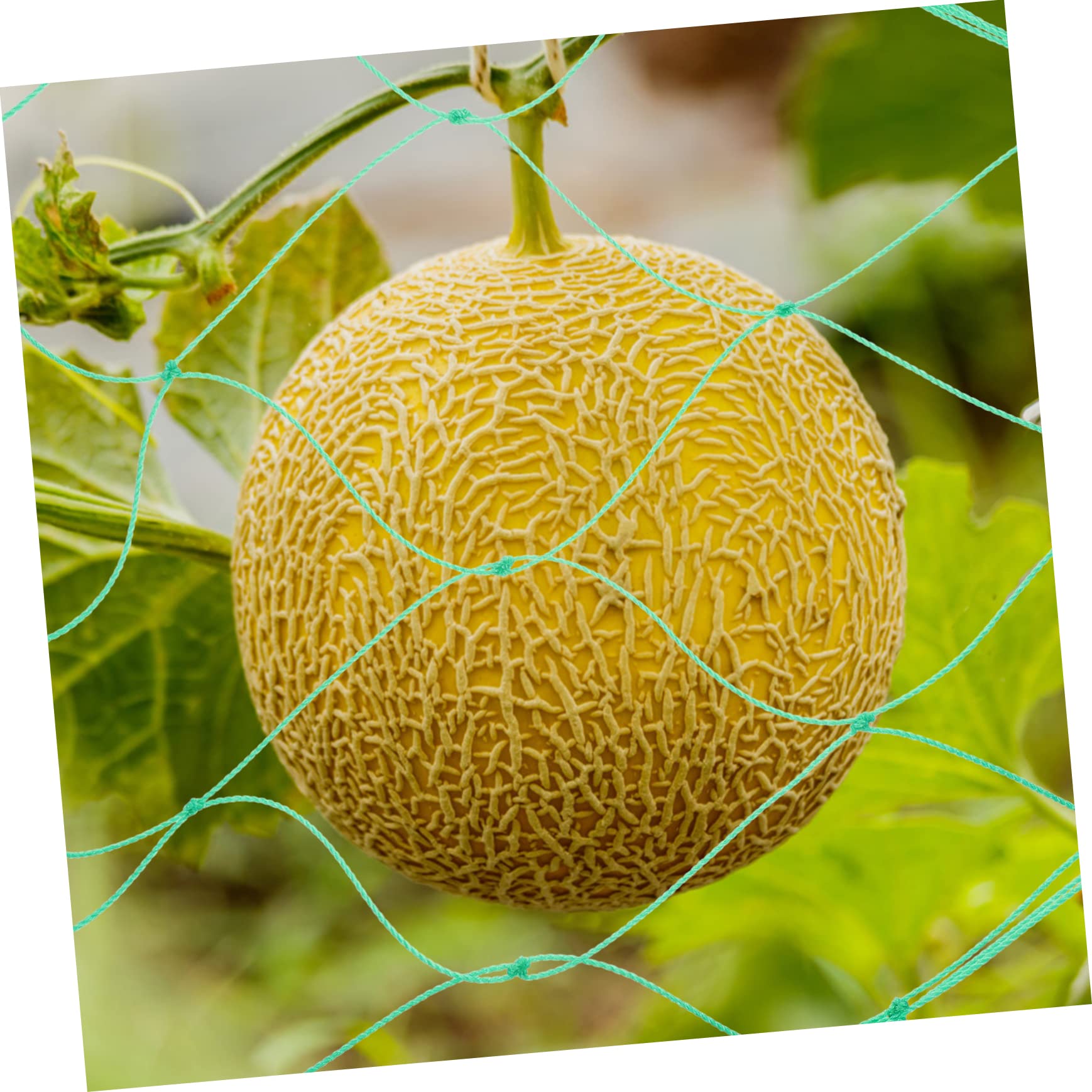 Gartennetz 3 Stück aus Nylon für Gurken und Kürbisranken