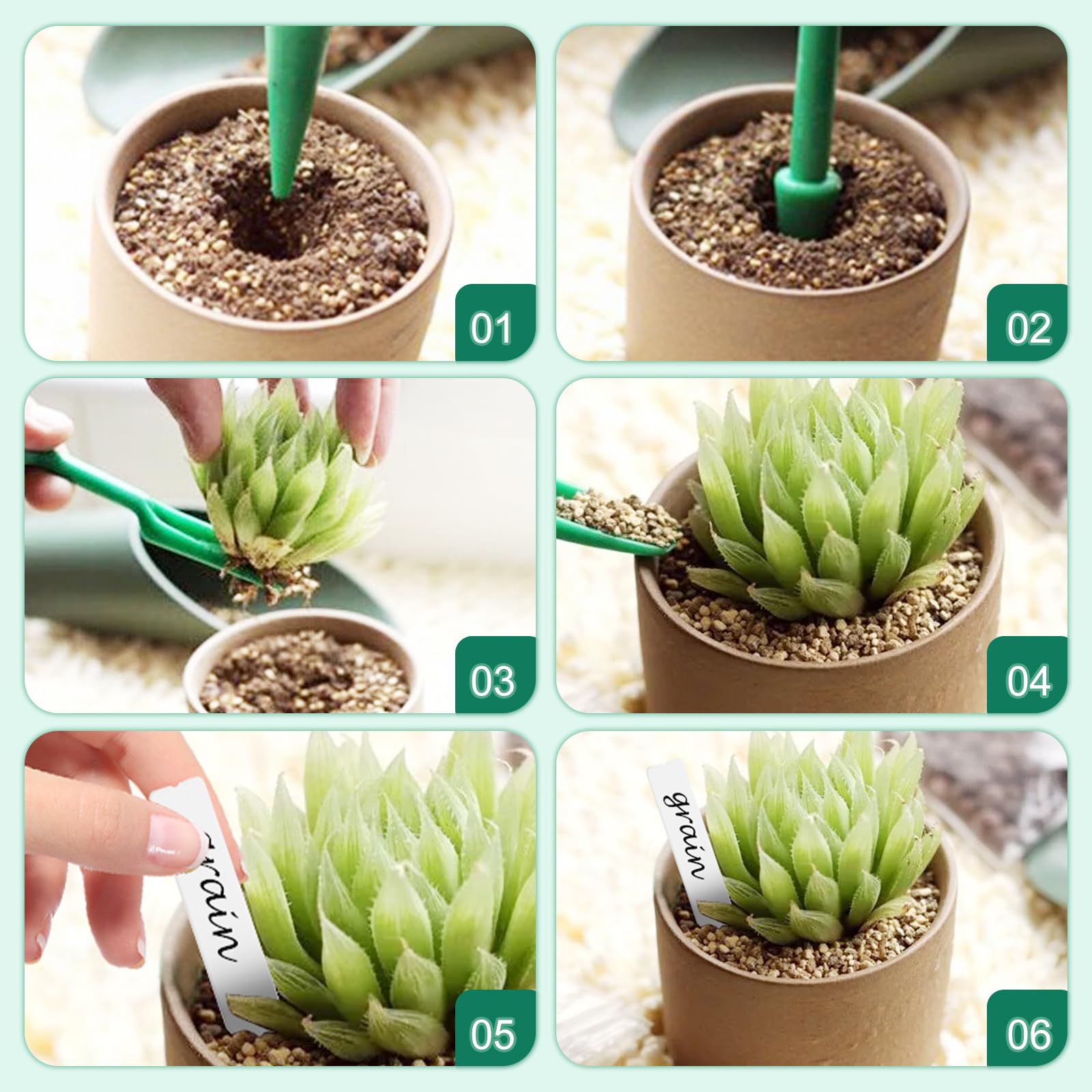 5 Pezzi Vassoi per Germinazione, Mini Serra Germinazione, Vassoi per Semi con Luce di Coltivazione, Semenzaio Propagatore Semi con Coperchi Alto con 10 Etichette, 2 Strumenti per Piante da Semina