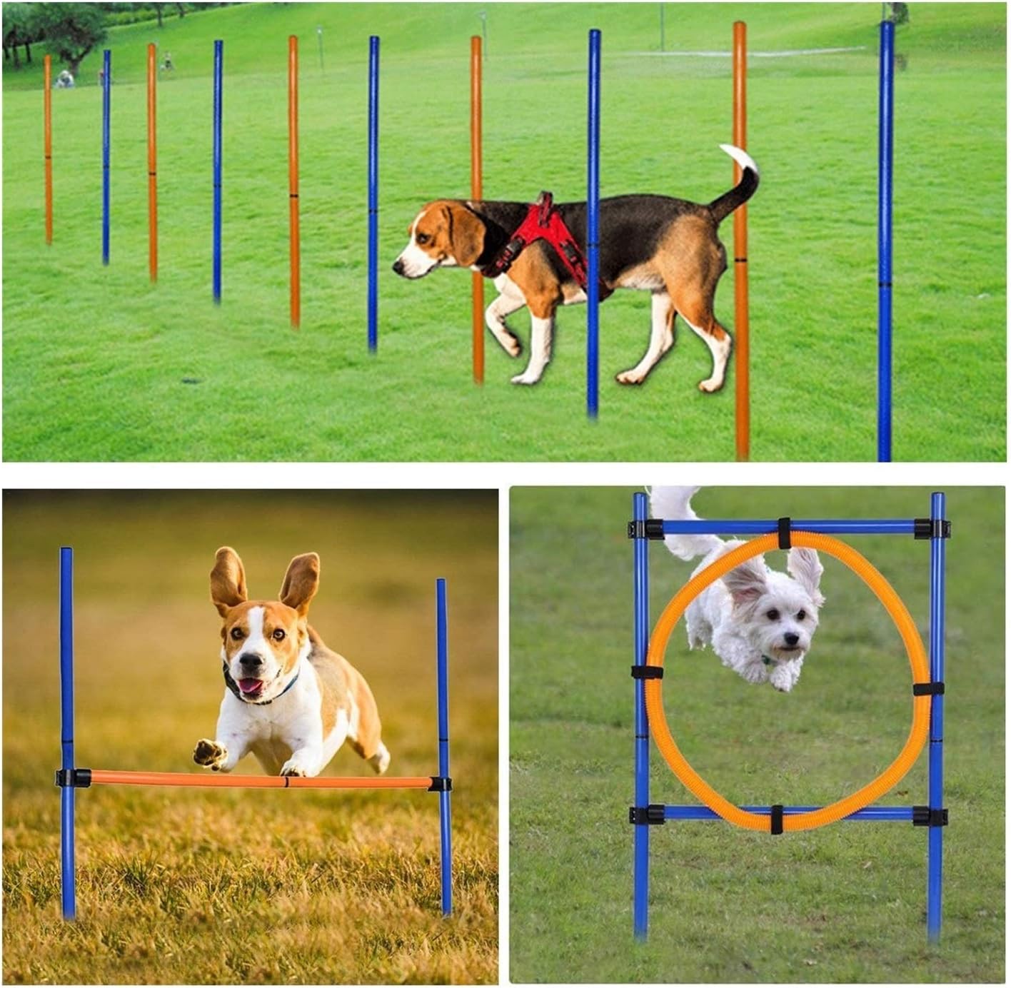 Kit Attrezzatura Esercizi BD-S-M Ménøtês - Per Allenamento Indoor - Design Funzionale - Foto 12