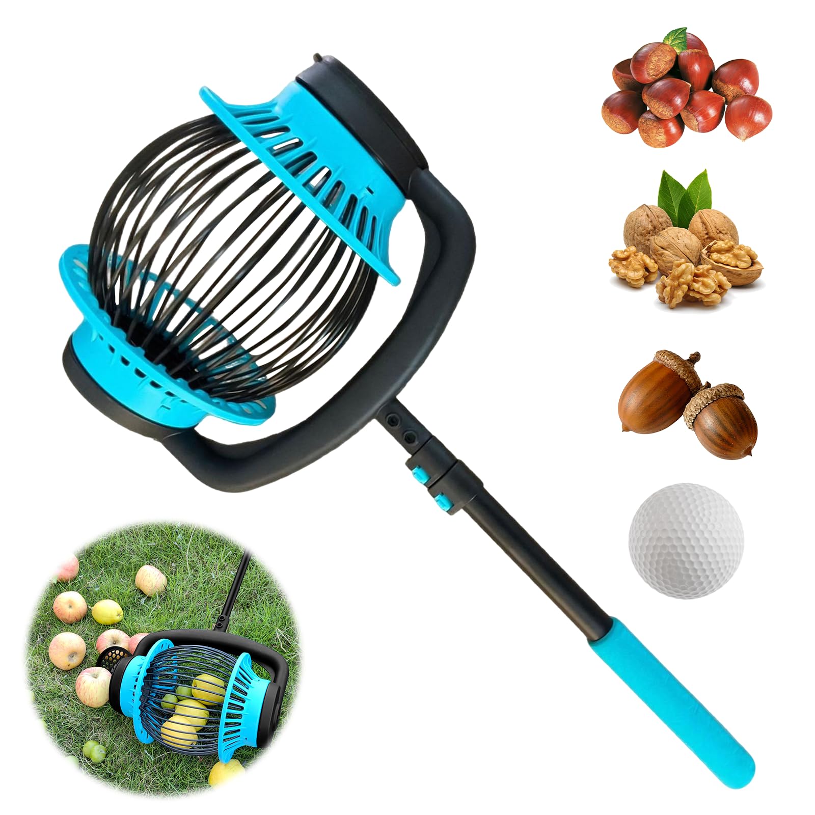 Ramasse-noix Télescopique Hailerio - Rouleau Collecteur Réglable 46-150 Cm, Acier Inox, Pour Noix, Glands, Fruits - 14