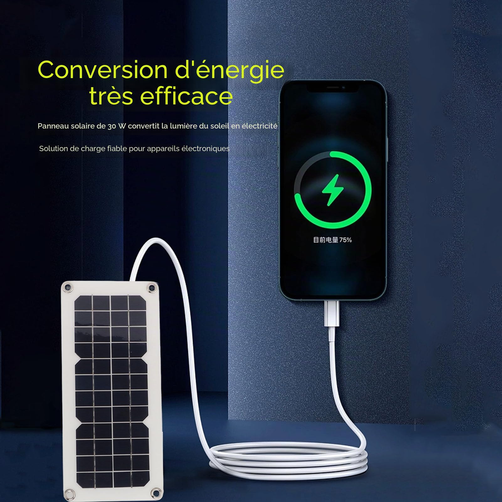 Fockety Kit Panneau Solaire, Panneau Solaire monocristallin étanche de 30W avec Double Sortie USB 18V 5V, régulateur de Solaire 12V 24V, Clip Batterie pour VR, Camping-Car