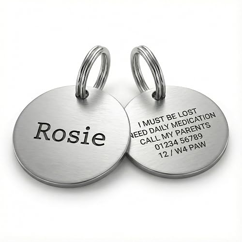 Placa de identificación personalizada para perro