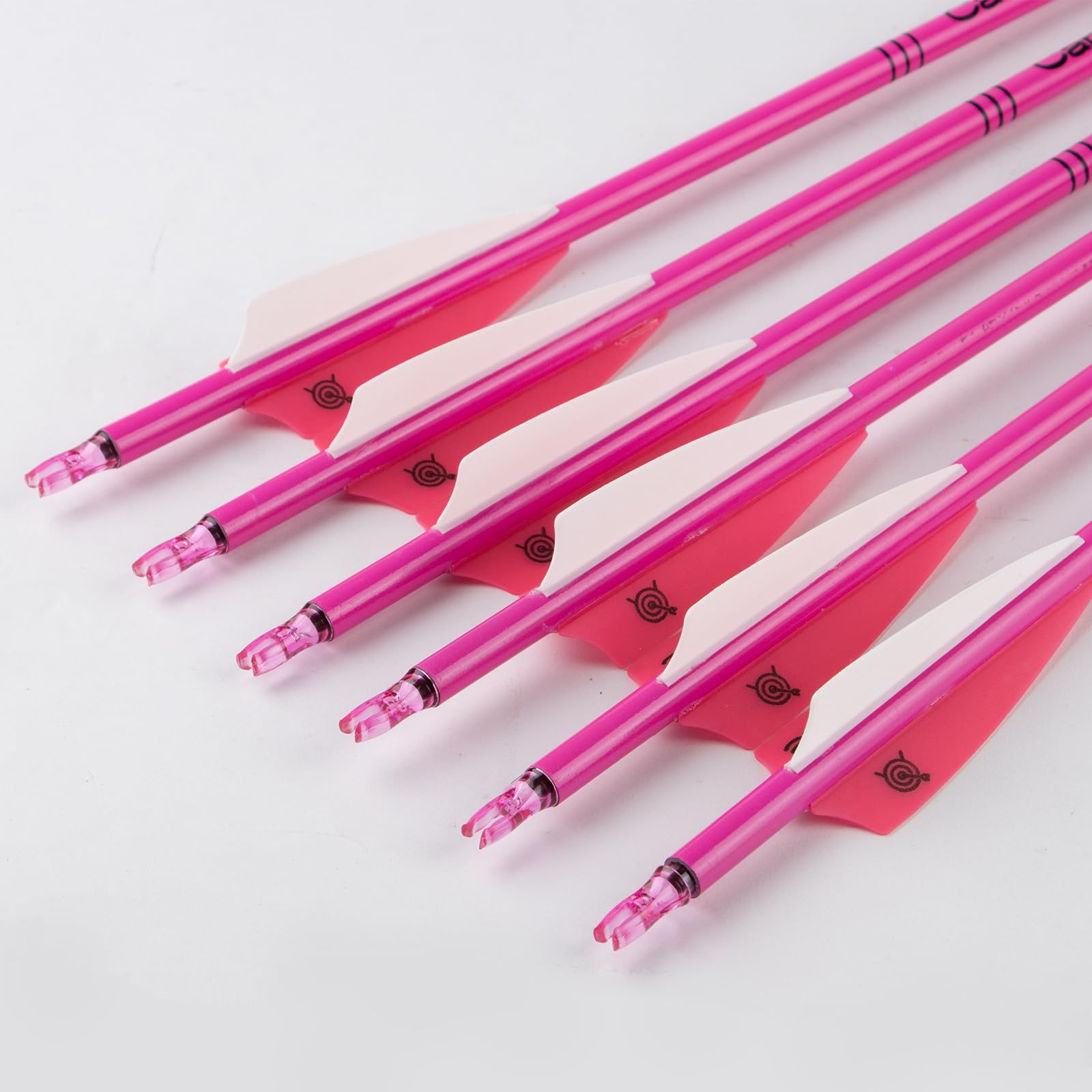 S F 76,2 cm Carbon-Pfeile für Bogenschießen, Ziel-Übungspfeile mit abnehmbaren Spitzen für Recurvebogen und Verbundbogen (12 Stück), Mehrfarbig