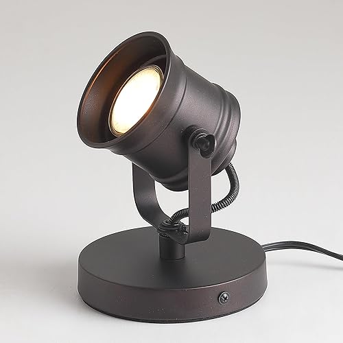 Floor Spotlight Indoor Spot Light for Plants, Uplighting Indoor Uplights