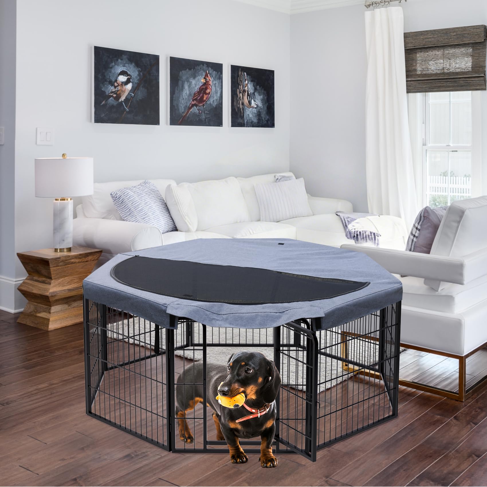 PETIME Recinzione per cani in metallo, resistente, per interni ed esterni, 55,9 x 61 cm (larghezza x altezza), 8 pannelli, con copertura superiore ottagonale