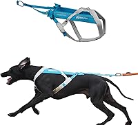 Vista 1 de Non-stop dogwear Freemotion Arnés 5.0 - Arnés de tracción para perros para deportes como correr, ciclismo y esquí con perros, arnés ajustable