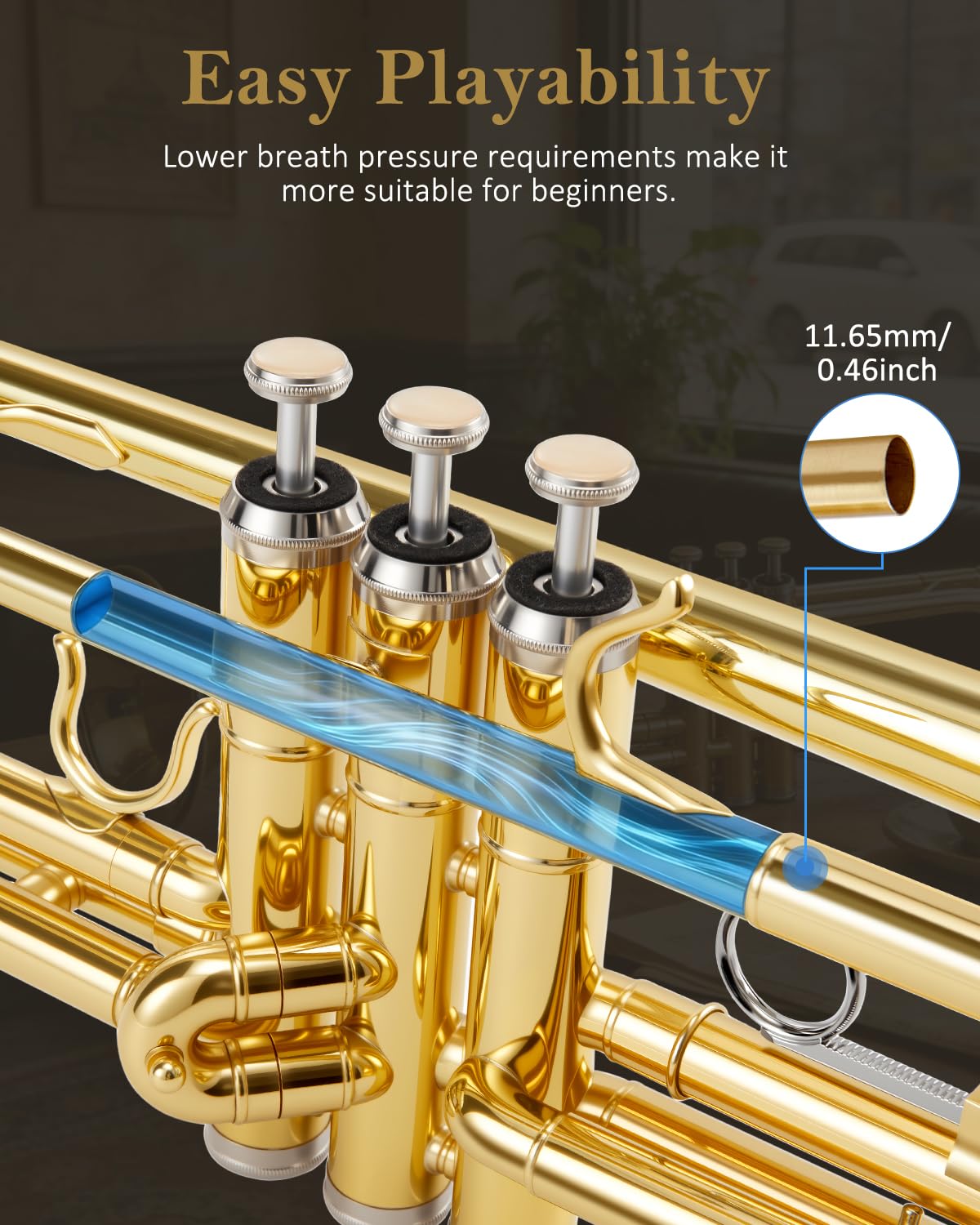 STRICH Bb Standard-Trompeten-Set für Anfänger, Blechblasinstrument für Schüler mit Hartschalenkoffer, Reinigungsset, Mundstücken 7C und 3C, Handschuhen – STR-1G, Gold
