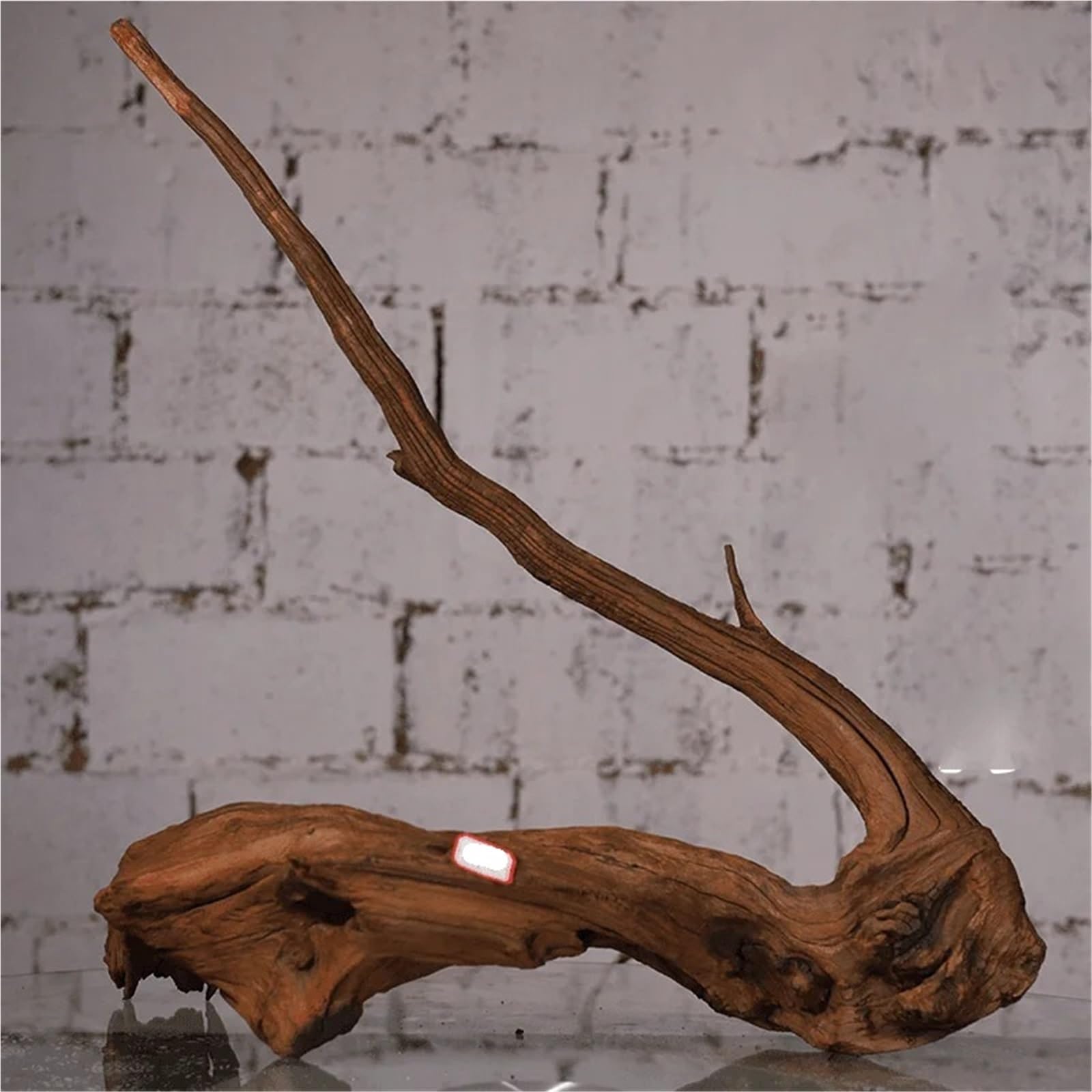Legno per Acquario Legno Galleggiante for Acquario, Grande, Tronco d'albero, in Legno, Extra Large for la casa(20-25cm-2pcs)