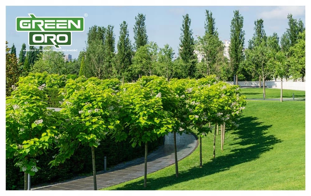 BASIC AKI 24KG Jesienny nawóz dla laurowiśni, bukszpanu, katalpy i wszystkich roślin wapnolubnych.