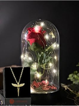 Lapidaria Cam Fanus I erisinde Peri Led I kl  Solmayan K rm z  G l Lamba Ve Yusufcuk Alt n Kaplama Kolye