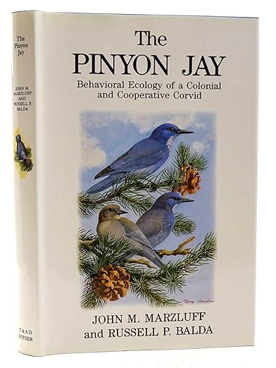 The Pinyon Jay: Behavioral Ecology of a Colonial and Cooperative Corvid (T & AD Poyser)