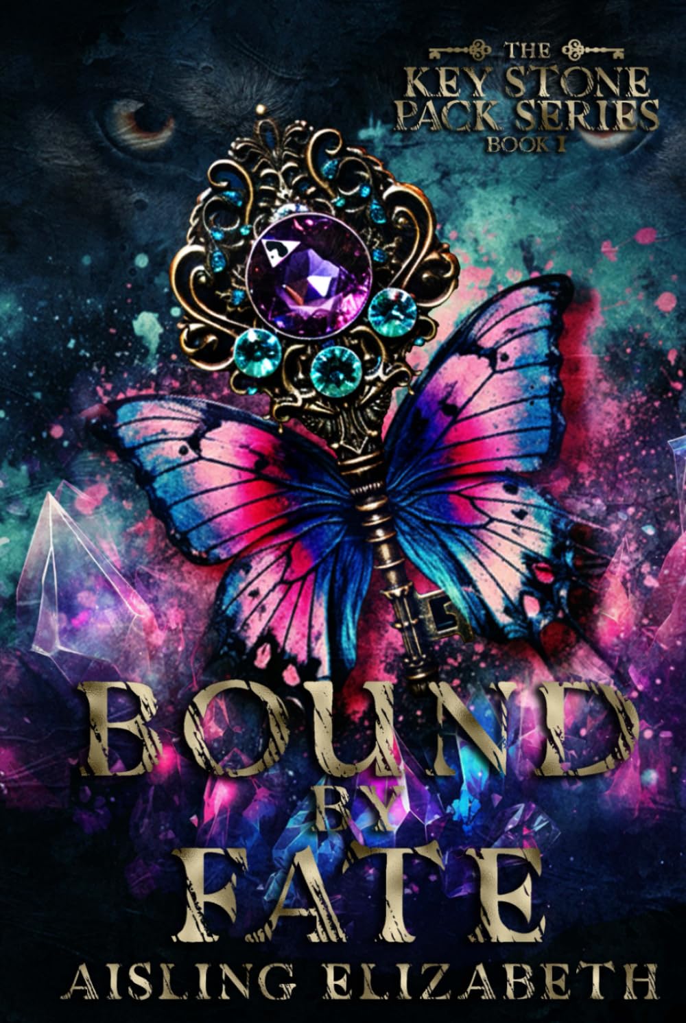 Bound by Fate (The Key Stone Pack Series)