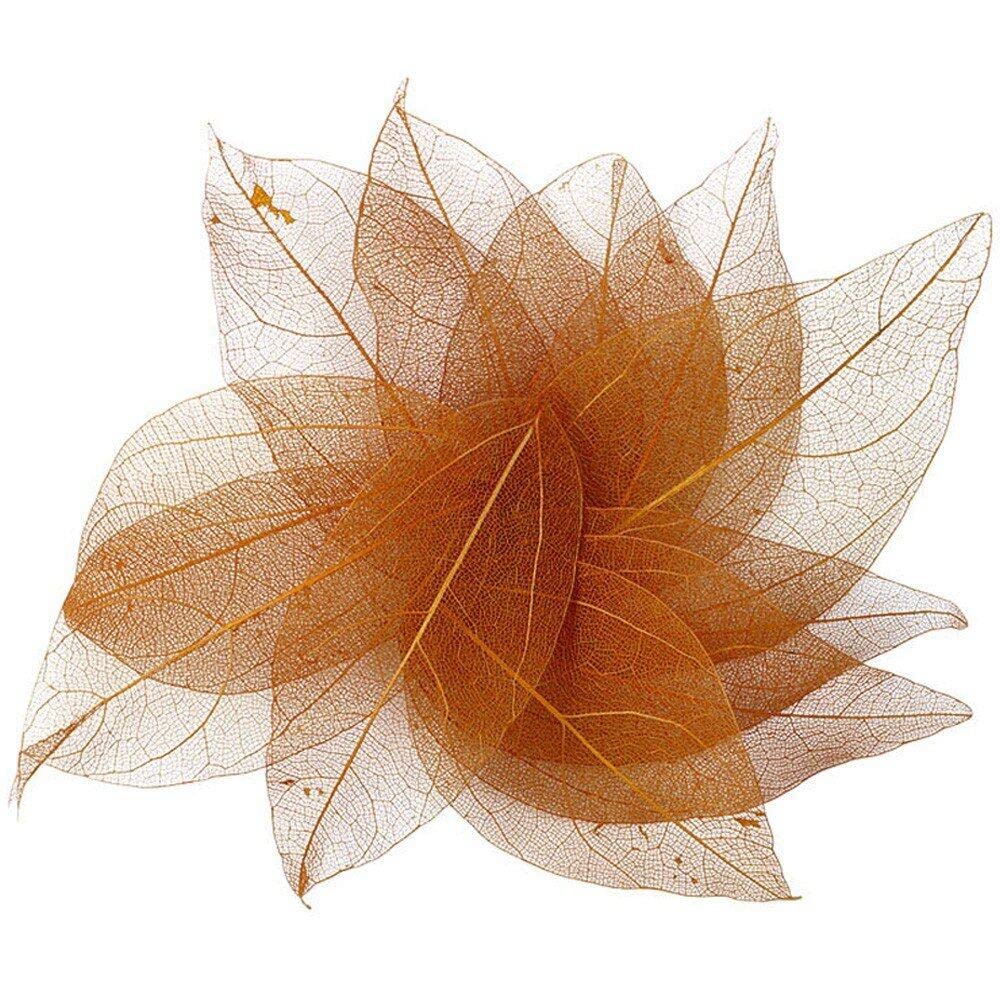 Lpitoy 36pcs Natural Skeleton Leaf Dry Leaves Scrapbooking Diy Material Scrapbook Craft Card Wedding Large Leaves