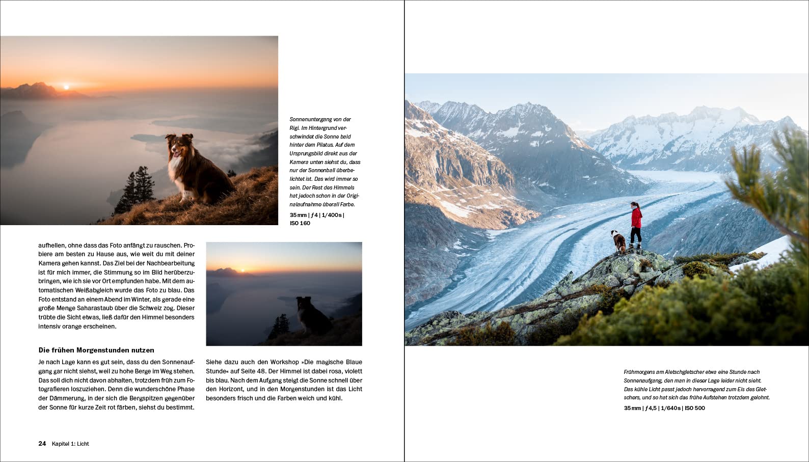 Hundefotografie: Fellnasen liebevoll in Szene setzen. So gelingen Hundeporträts mit Ausdruck und Witz – draußen und im Studio. 350 Seiten Profi-Wissen