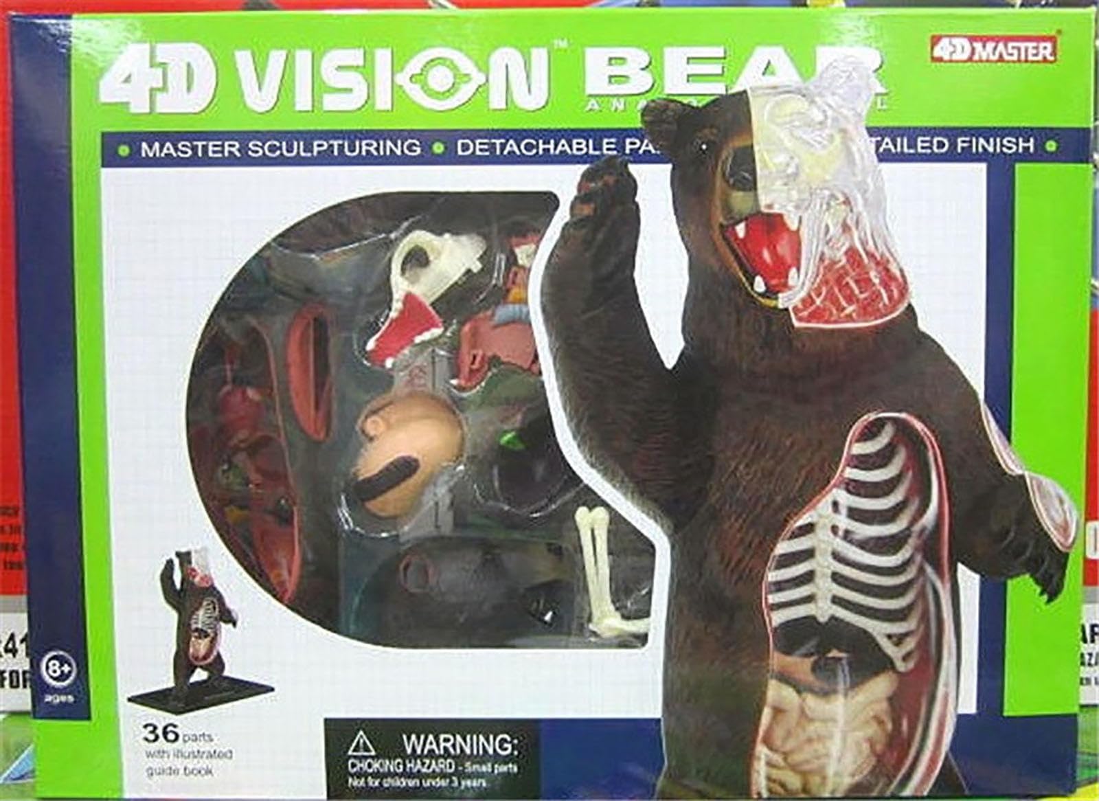 Modelo de anatomía del Perro 4D, Gato/Caballo/Vaca/Cerdo/animalesqueleto canino, espécimen de Esqueleto Animal, biología Desmontable, clínica Veterinaria para Mascotas (G)
