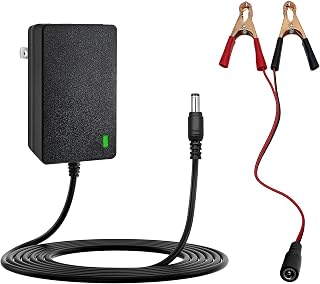 12V Battery Charger for Kids Ride On Toys, Electric Cars, ATVs, Motorcycles, Power Wheels, and More Universal Charger for 12V Battery Powered Vehicles, Remote Control Ride Ons, and Small Electric Toys