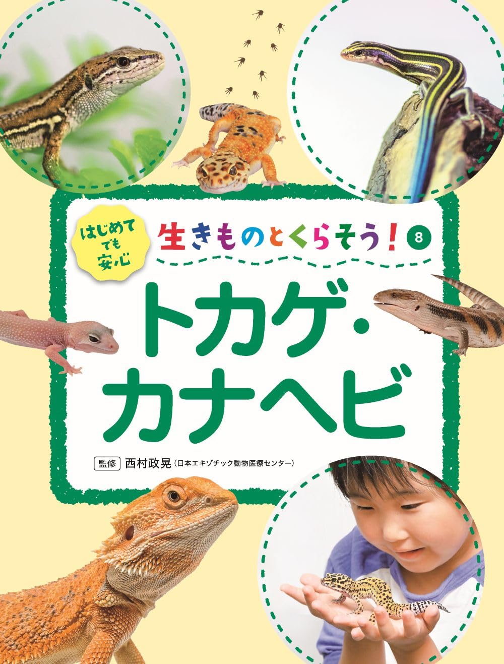 トカゲ・カナヘビ (生きものとくらそう!) | 西村政晃 |本 | 通販 | Amazon