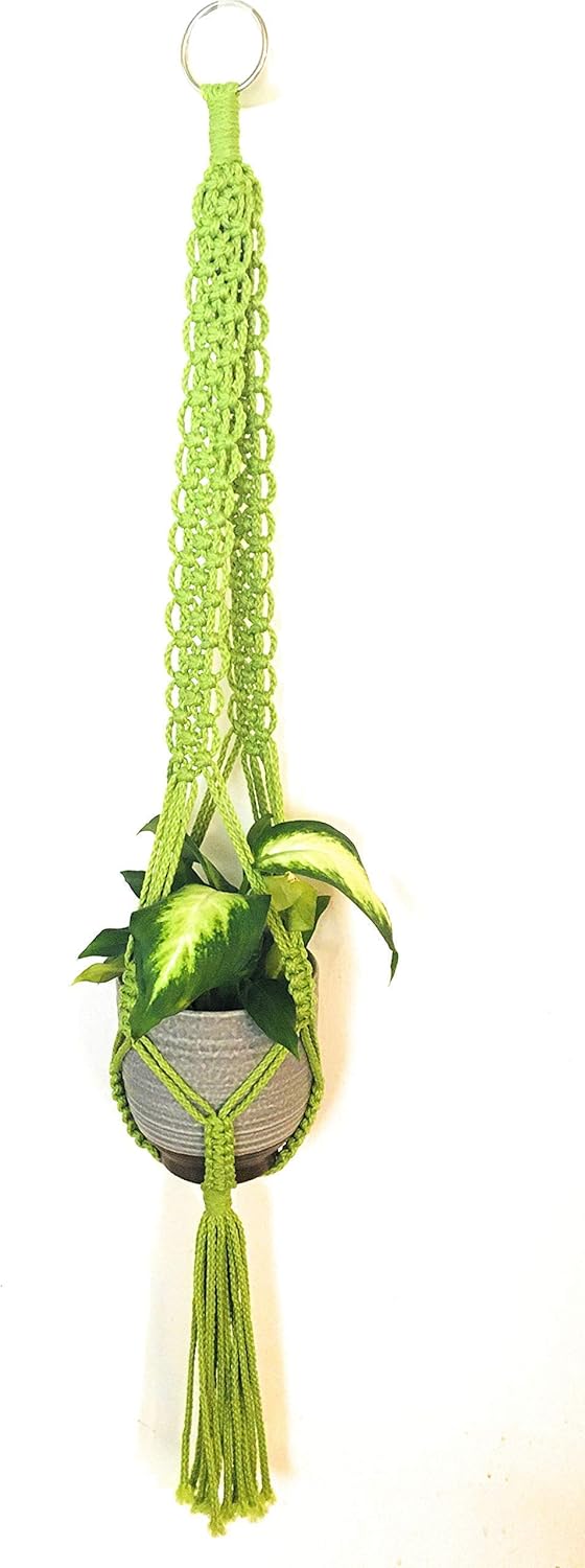 Macrame Plant Hangers by Zen Knots