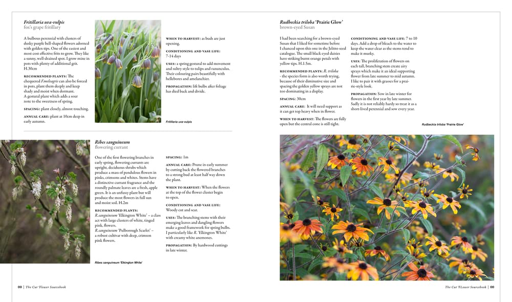 The Cut Flower Sourcebook: Exceptional Perennials & Woody Plants for Cutting