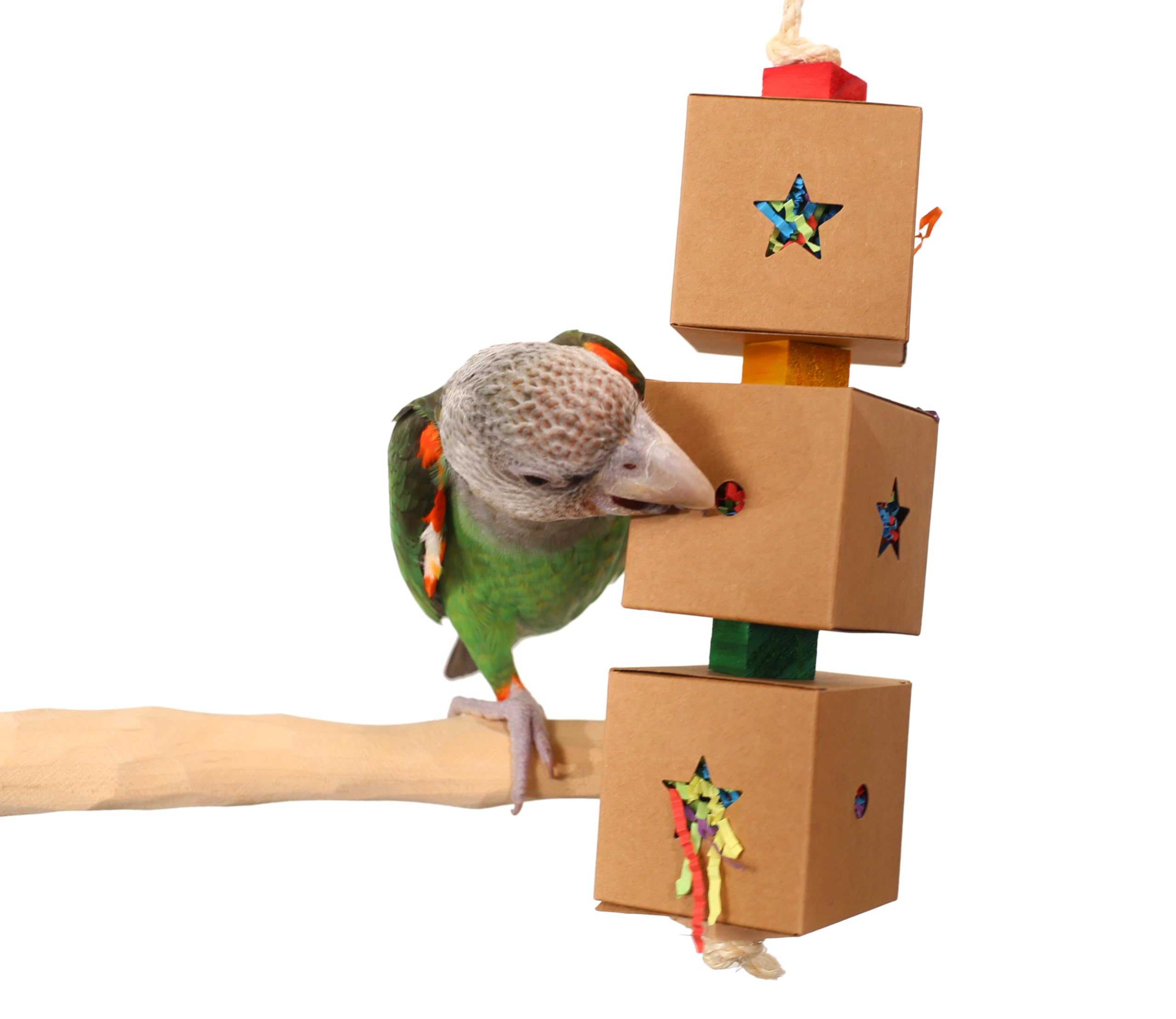 Little Delivery - Medium Parrot Cardboard Boxes Foraging Toy - image 3