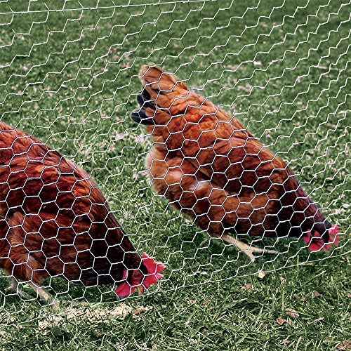 Image of YARDGARD 2 Inch Poultry Netting, Chicken Wire Fence, 20 Gauge Galvanized Steel, Rabbit Fencing, Bird Enclosures, Garden Protection and Plant Support, 60 Inches x 50 Feet