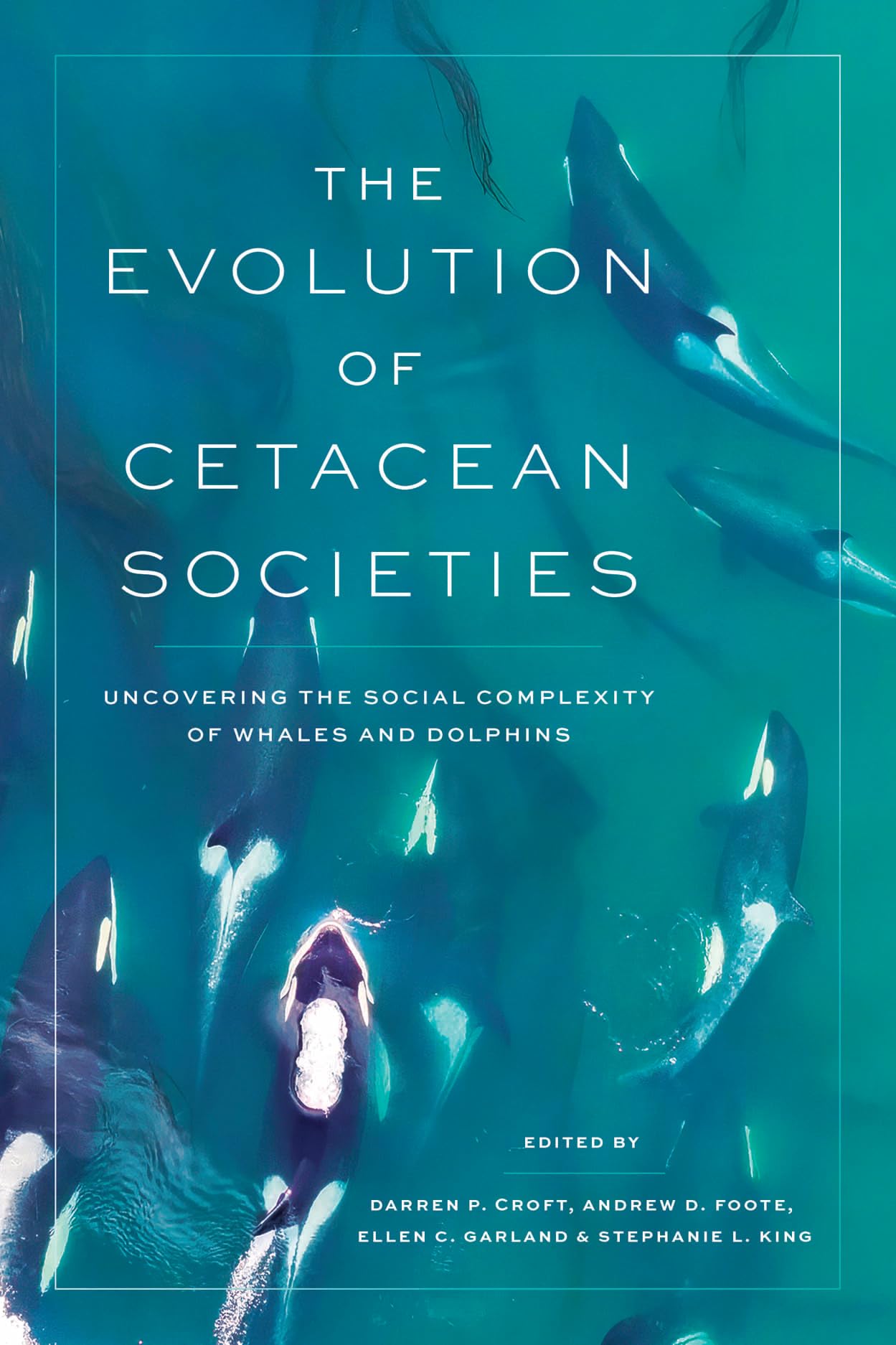 The Evolution of Cetacean Societies (Paperback Book)