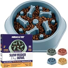 Miracle Vet Slow Feeder Dog Bowls for Fast Eaters - for Small, Medium Sized Dogs - Dog Puzzle Maze Helps Slow Down Eating - Adult, Puppy Food Bowl for Bloat Stop - Non-Slip Feeder Bowl Blue