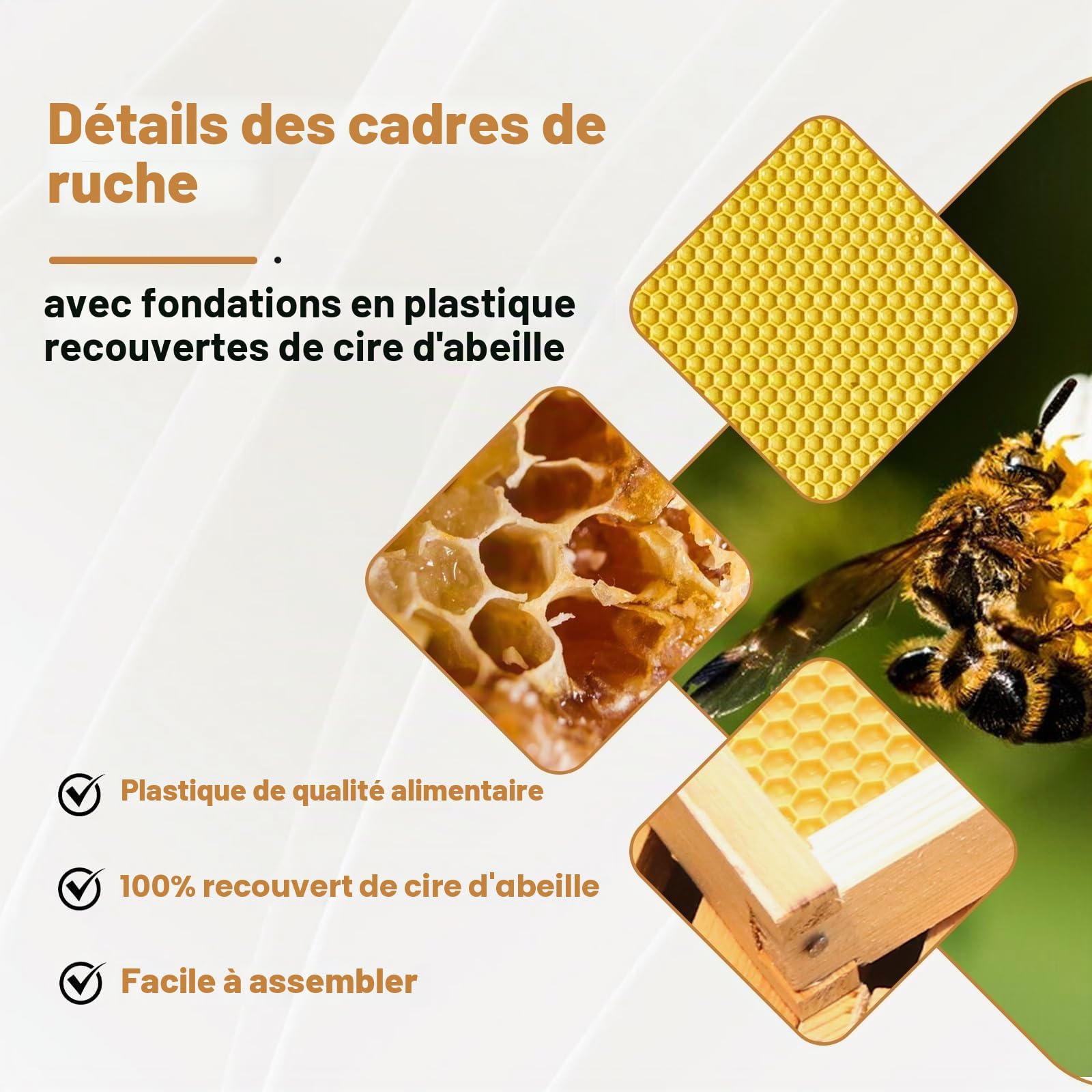 Garvee Kit complet ruche Langstroth 10 cadres pour apiculture – 2 corps profonds, 1 hausse moyenne, fenêtres acryliques, cadres et cires inclus – Bois de sapin traditionnel – Traditionnelle ruche en