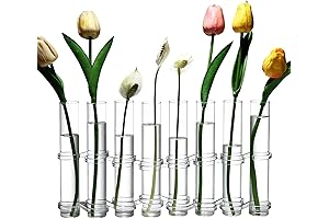 Hinged Flower Vase, Small 8-Piece Glass Foldable Test Tube Vase Propagation Station for Plant