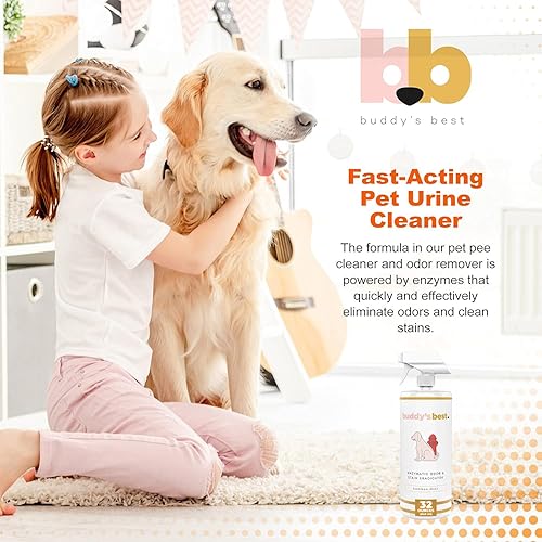 Miniatura 5 de Buddy's Best Eliminador de olores de orina para mascotas y removedor de manchas de mascotas, menta de bambú, removedor enzimático de olor de orina