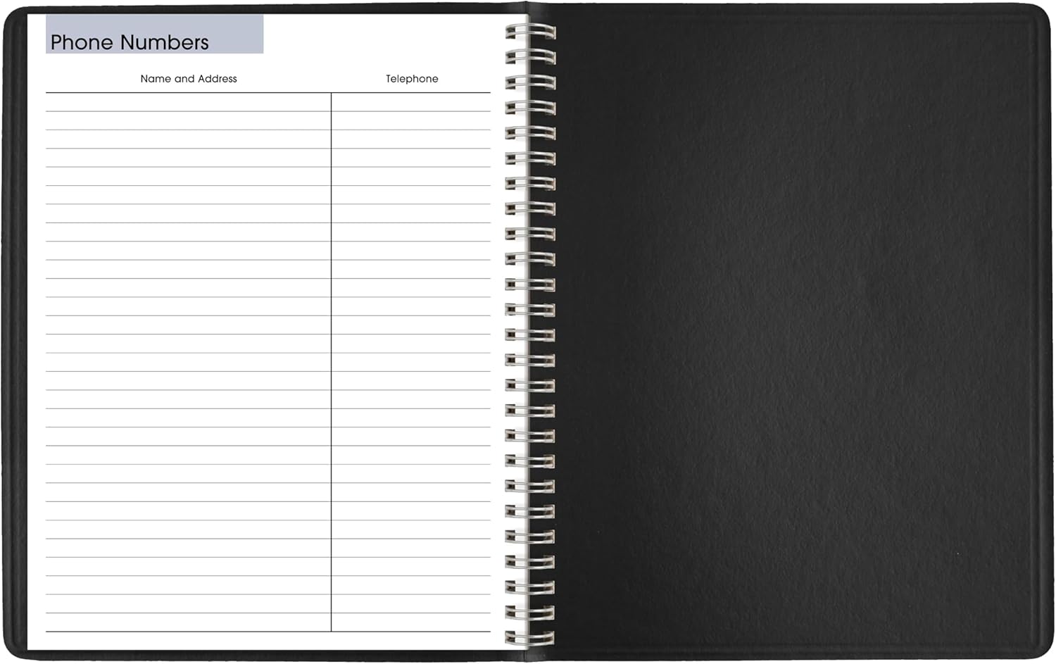 AT-A-GLANCE 2026 Planner, Weekly, 7" x 8-3/4", Medium, Block-Style, DayMinder, Black (G5350026)
