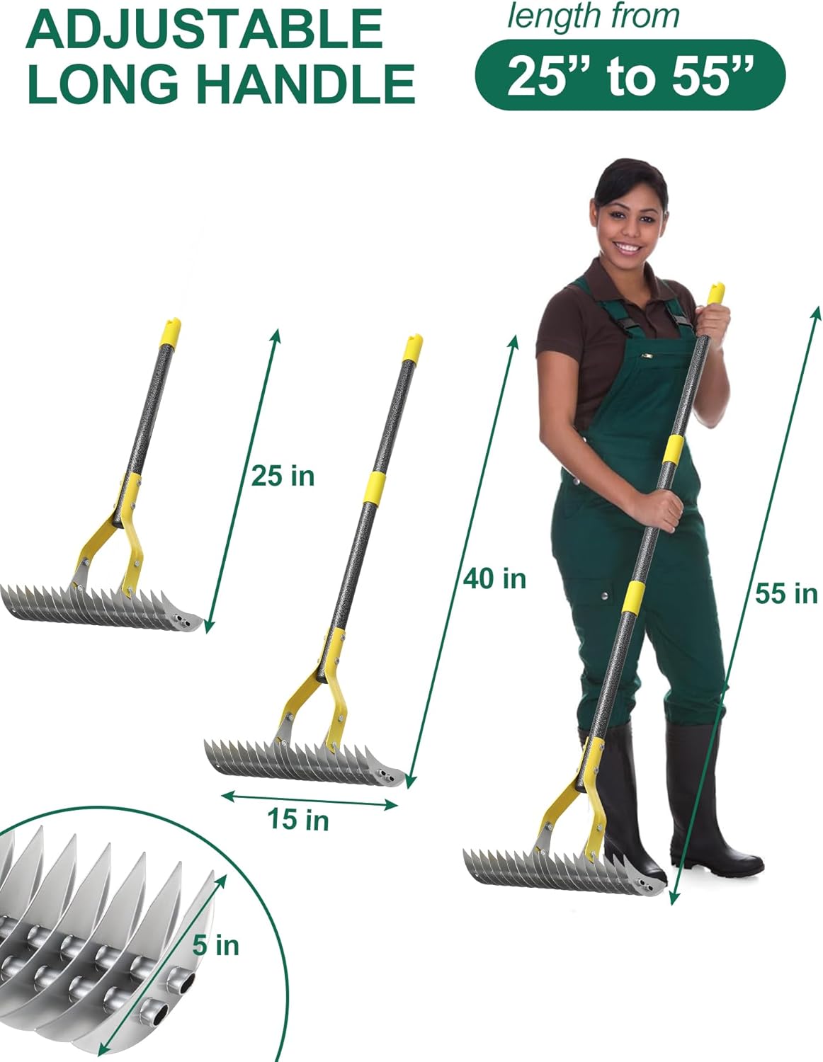Thatch Rake, 2-in-1 Lawns Manual Dethatcher with Adjustable Head, 55" Heavy Duty Metal Dethatching Rake Garden Tools, 19-Tooth Sharp Blade for Yard Dead Grass, Moss Removal, Soil Loosening
