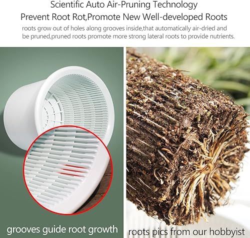 Miniatura 3 de Meshpot 2 macetas de plástico para orquídeas de 63 pulgadas con agujeros macetas decorativas para plantas de flores de interior y exterior hierbas