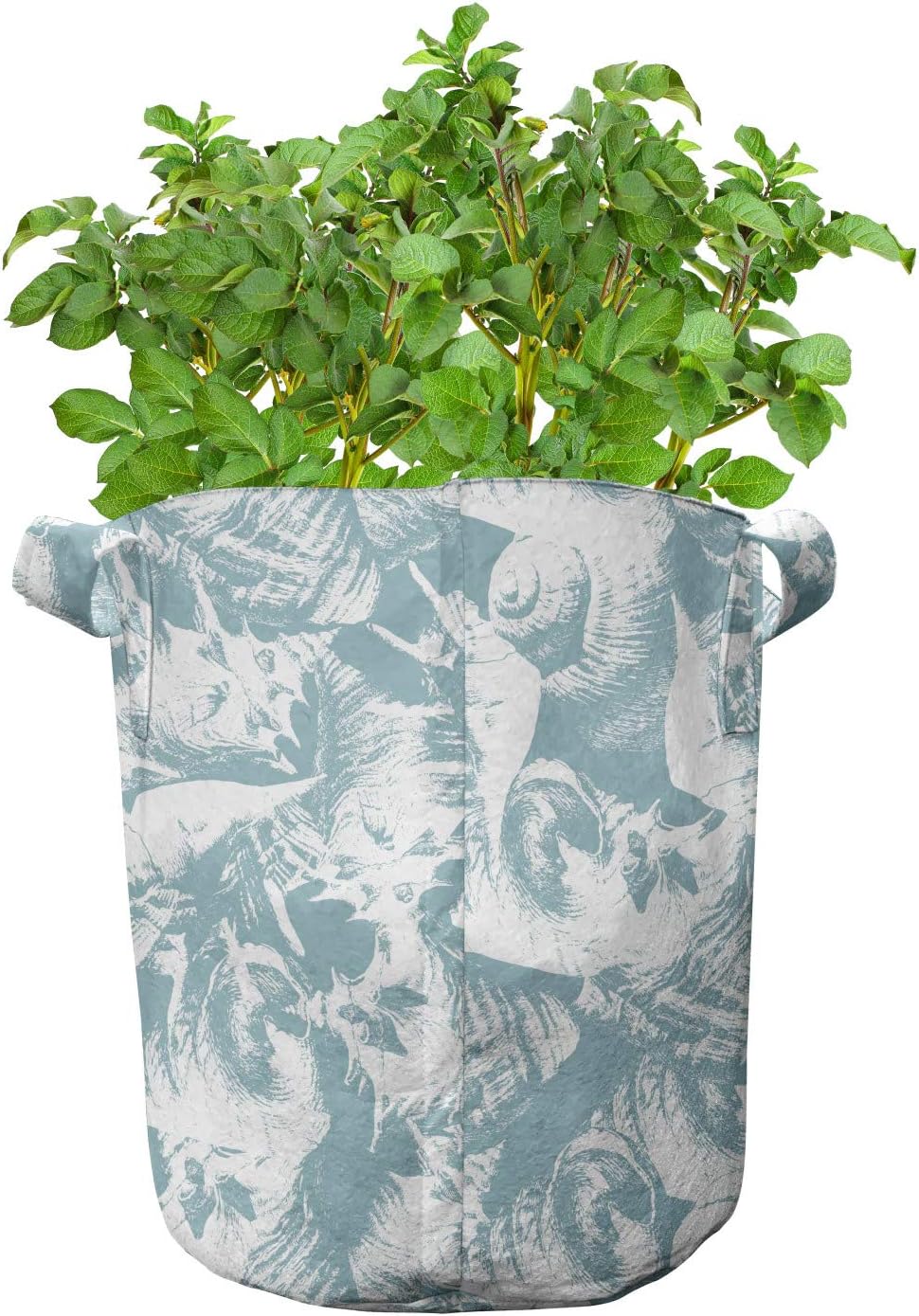 Lunarable Ocean Grow Bags 5-Pack, Vintage Different Seashells, Heavyduty Fabric Pots with Handles for Plants, 7 Gallon, Slate Blue White