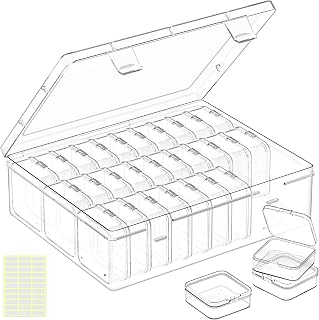 DILIBRA Bead Organizer Box, 31Pcs Small Bead Storage Containers Plastic Cases with Hinged Lid, Rectangle Clear Diamond Painting Storage Containers for Jewelry, DIY Crafts, Bracelet, Seeds, Nail