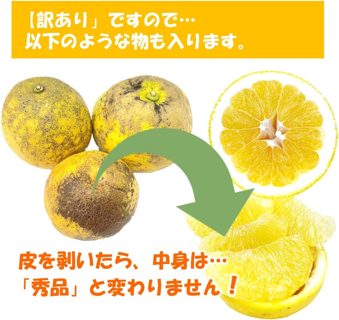 【愛媛県産】訳あり 不揃い 河内晩柑１０ｋｇ 柑橘どころ宇和島の和製グループフルーツ 果汁たっぷりジューシー 訳あり 不揃い みしょうゴールド 美生柑 みしょうかん 愛南ゴールド 宇和ゴールド 夏文旦 ジューシーオレンジ ナダオレンジ 柑橘みかん