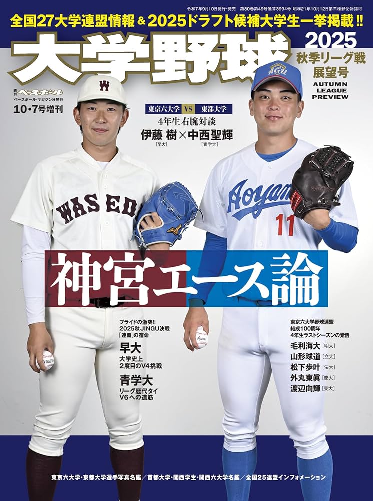 立教大学 1989 六大学野球 秋季リーグ優勝記念 ベースボールキャップ 当時物 立教大学 1989 六大学野球 秋季リーグ優勝記念 ベースボール