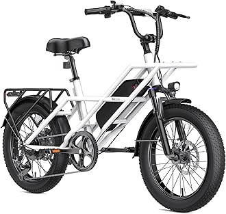 20" Fat Tire Electric Bike for Adults 750W/1200W Peak Motor E Bike 28 MPH 70 Miles Long Range Ebikes with 48V Removable Battery 7 Speed Mountain Ebike Commuter Electric Bicycle
