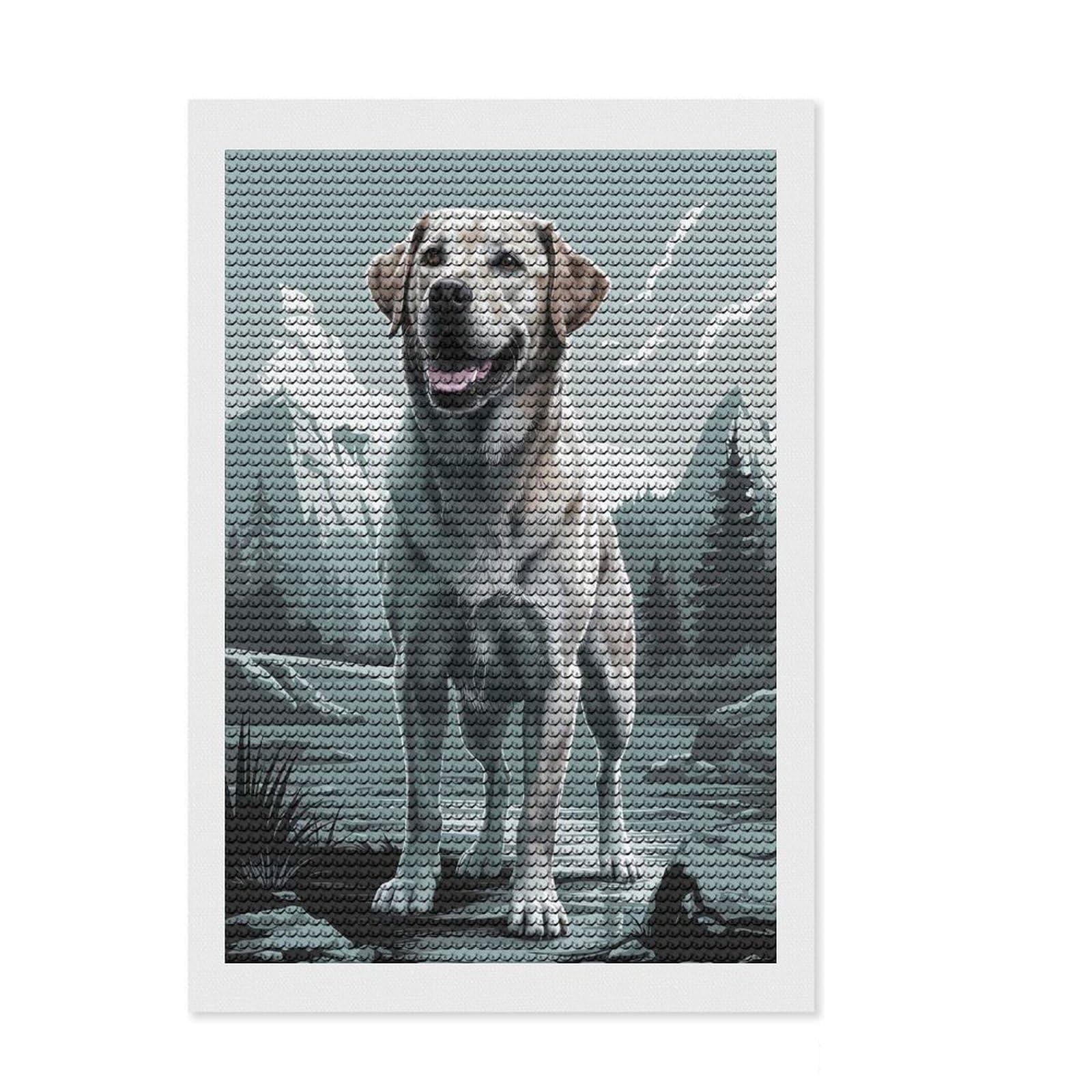 Junmoney Labrador Retriever in Mountain Landscape Diamond Painting Kit 8"x12", for Women, Easy to Follow Symbols, Birthday Gift, Home Wall Decor, Neat Printed Canvas