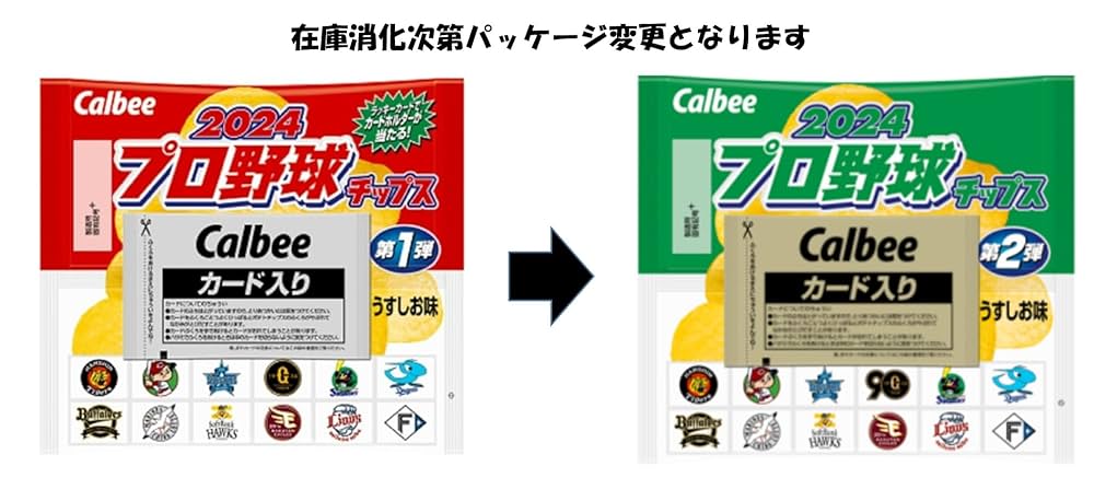 カルビー 野球チップス カード一式　193枚 カルビー2024 プロ野球チップス 第一弾 チーム最多本塁打王