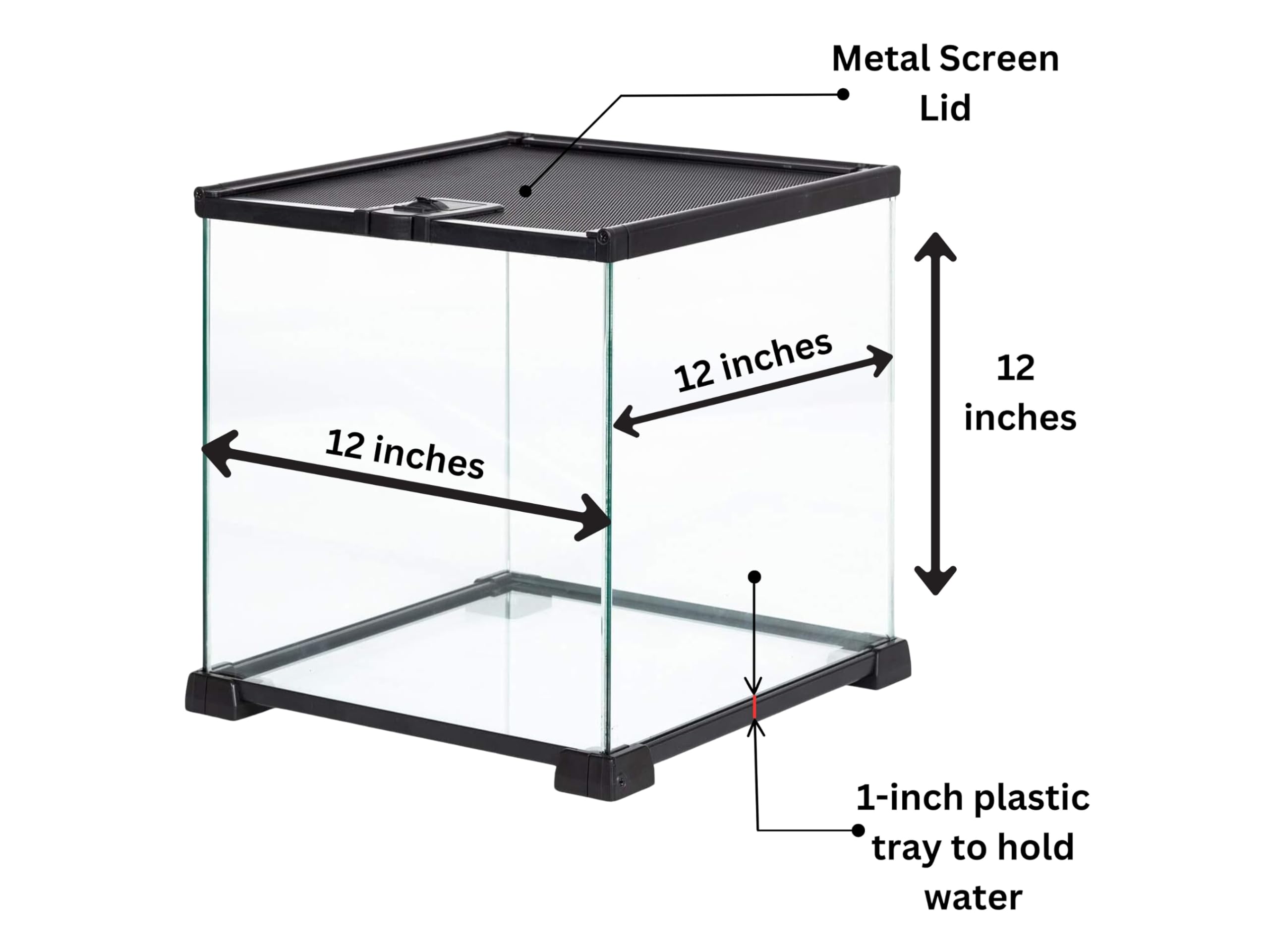 Terrarium Pro Kit - Das ultimative Schneckenpflege-Starterpaket für riesige afrikanische Landschnecken, Helix Aspersa, Helix Pomatia, Hainschnecken usw