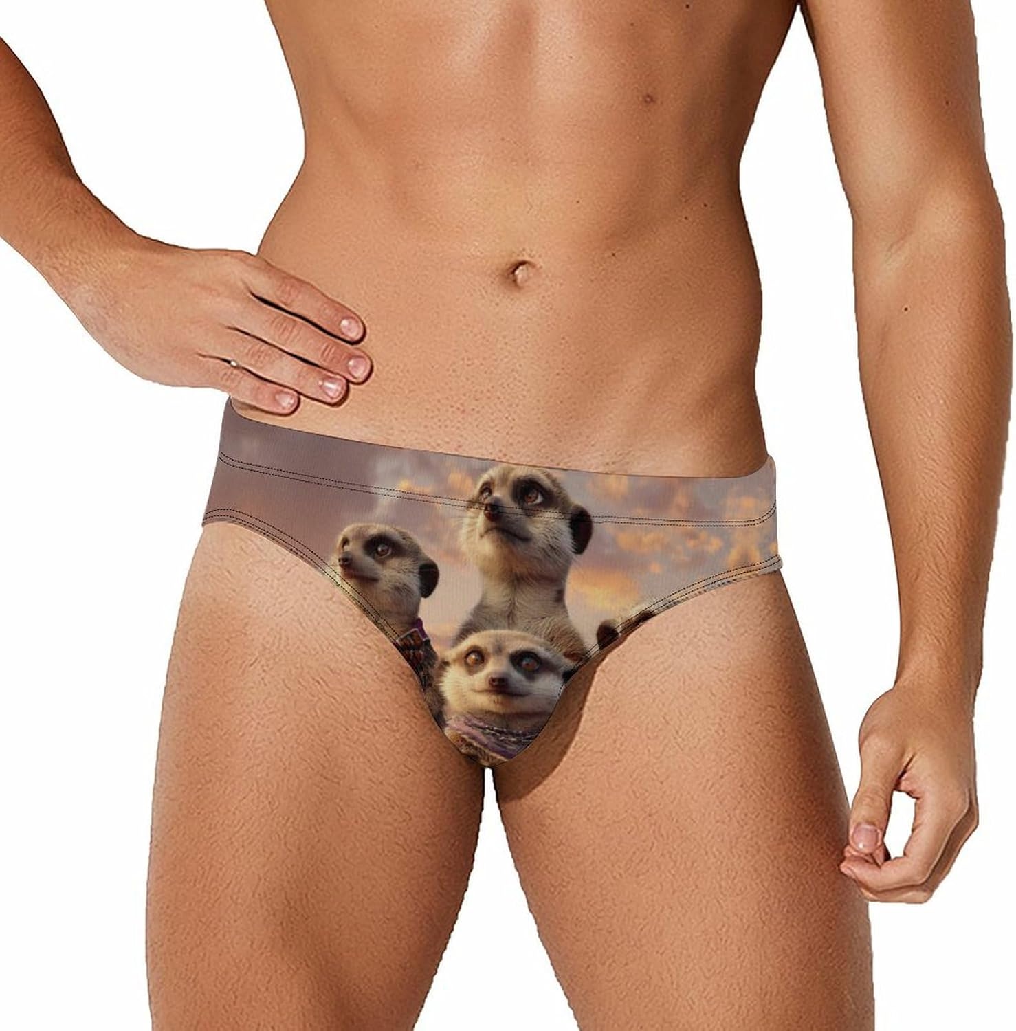 Meerkat Men's Swimsuit Brief Sexy Bikini Briefs Retro Printed Swimwear Quick Dry Swimming Trunks 3X-Large