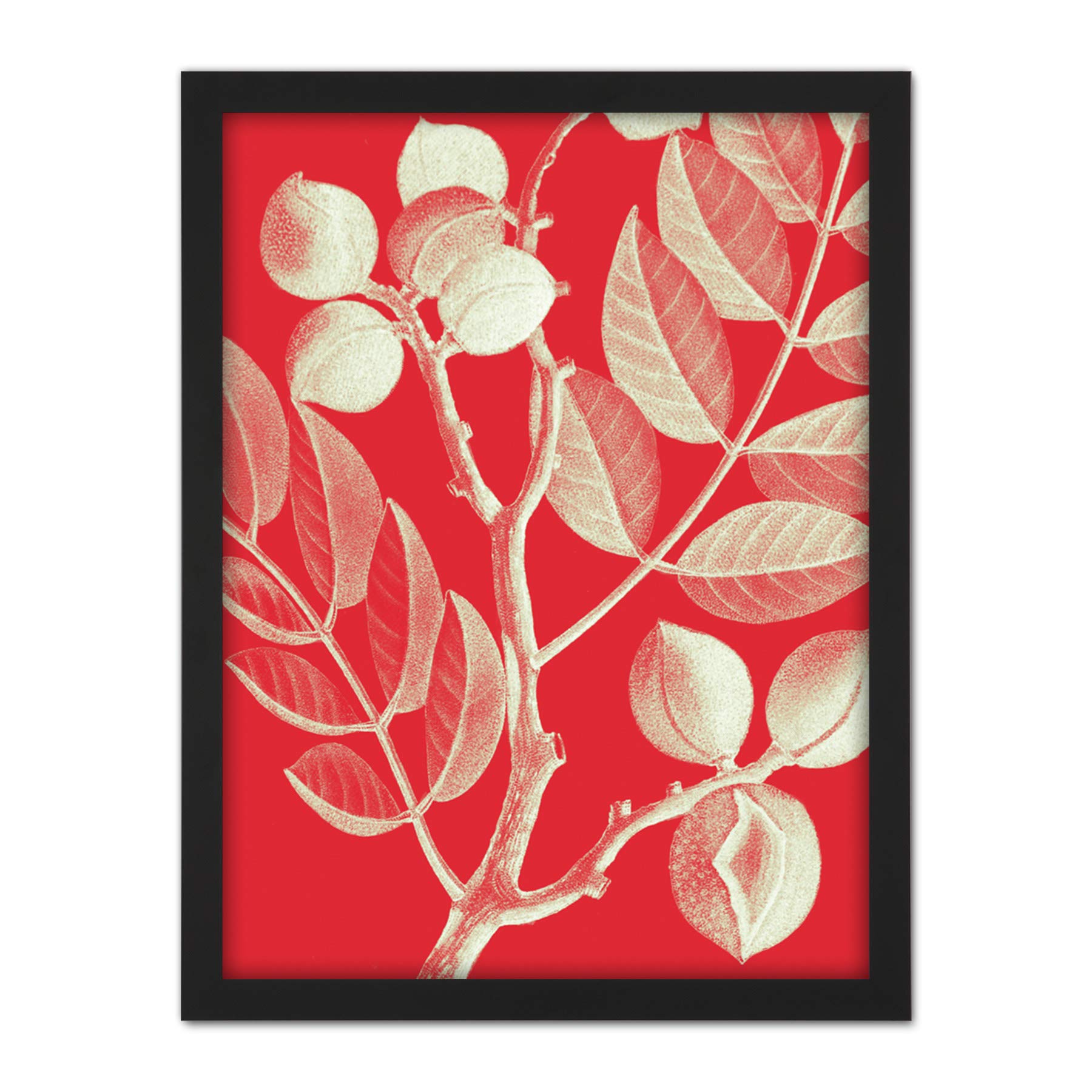 Wee Blue Coo Modern Bold Biodiversity Red Plant Artwork Framed Wall Art Print 18X24 Inch