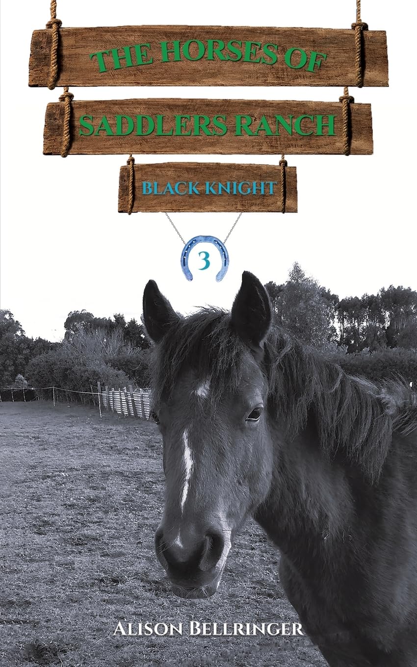 The Horses of Saddlers Ranch: Black Knight: Book Three